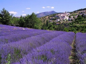 Rutas turísticas en Francia