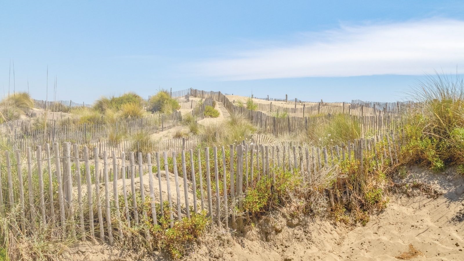 Plage de l’Espiguette