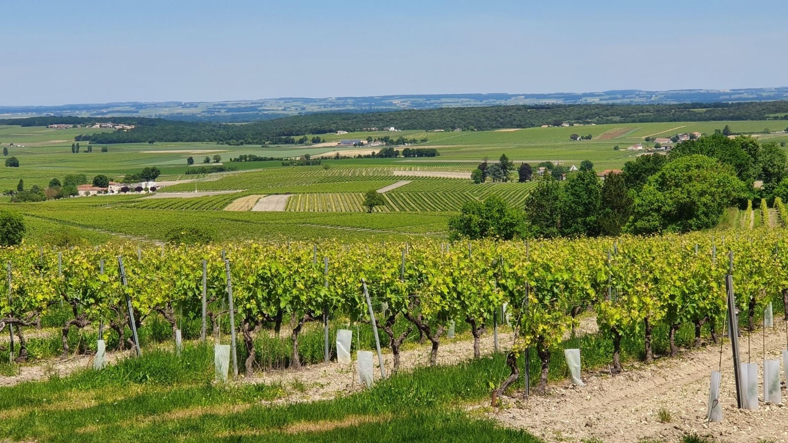charente francia