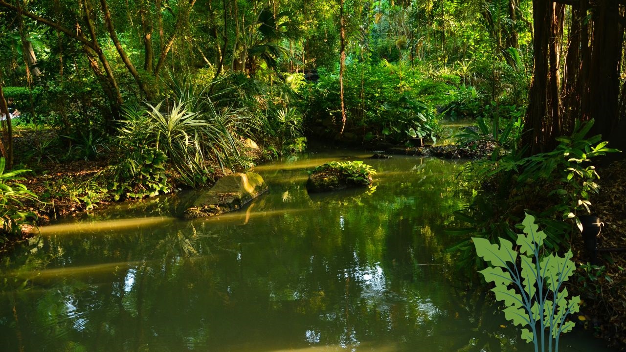 flora y fauna de francia